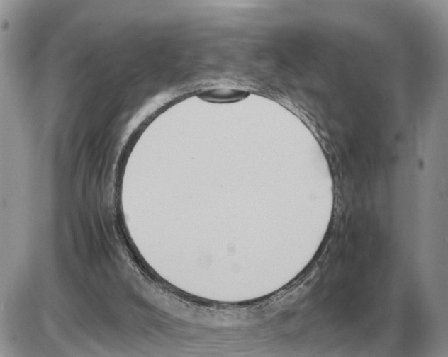 X0000086060008200704202112