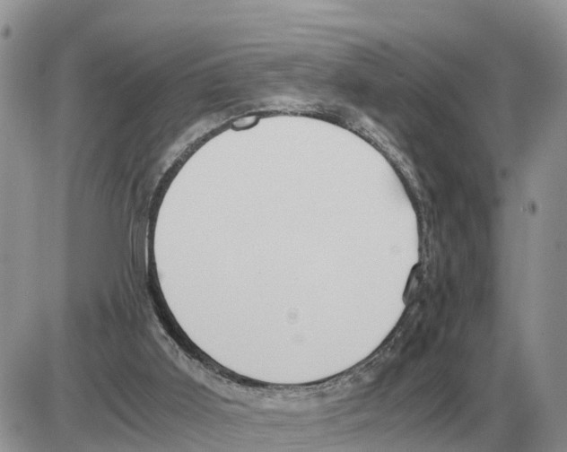 X0000086060011200704202112