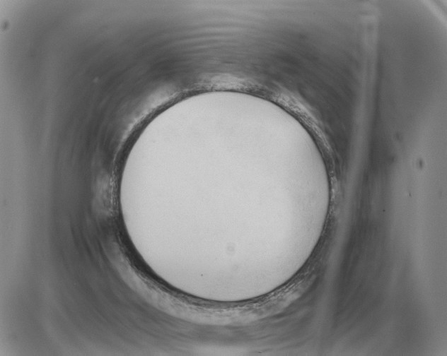 X0000086060012200704202112