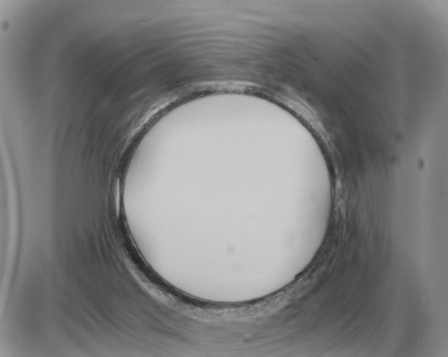 X0000086060013200704202112