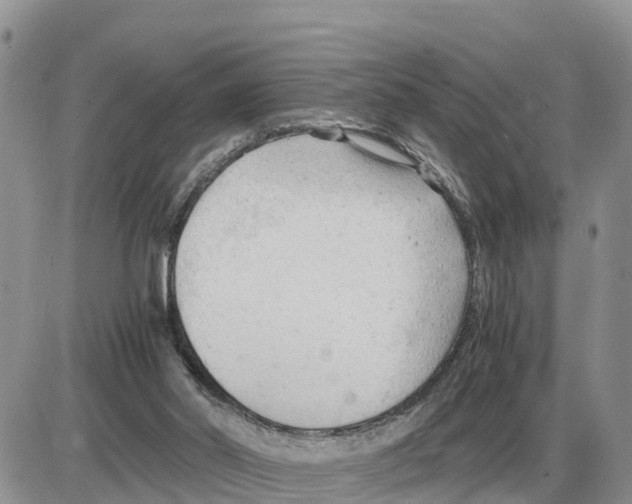 X0000086060014200704202112