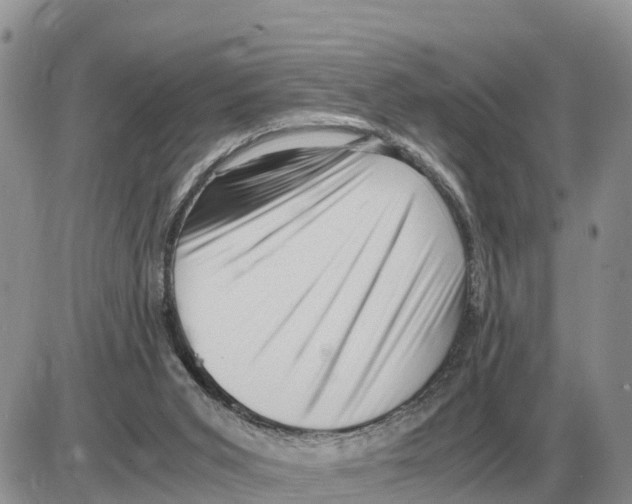 X0000086060015200704202112