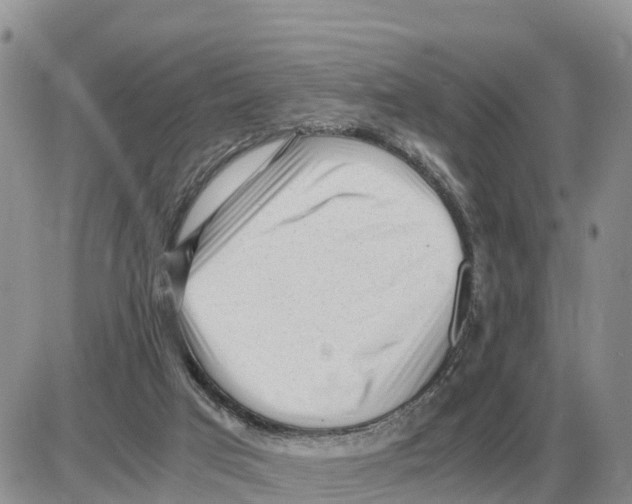 X0000086060017200704202112