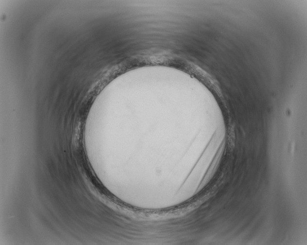 X0000086060018200704202112