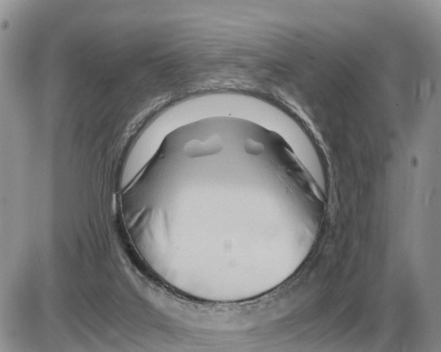 X0000086060019200704202112