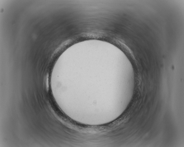 X0000086060020200704202112