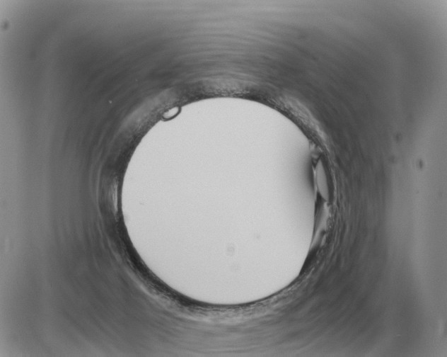 X0000086060021200704202112