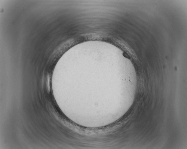 X0000086060022200704202112