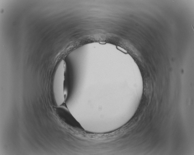 X0000086060023200704202112