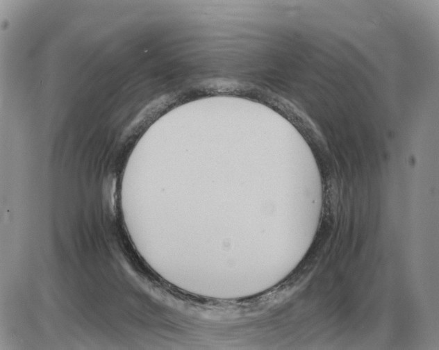 X0000086060024200704202112