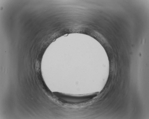 X0000086060025200704202112