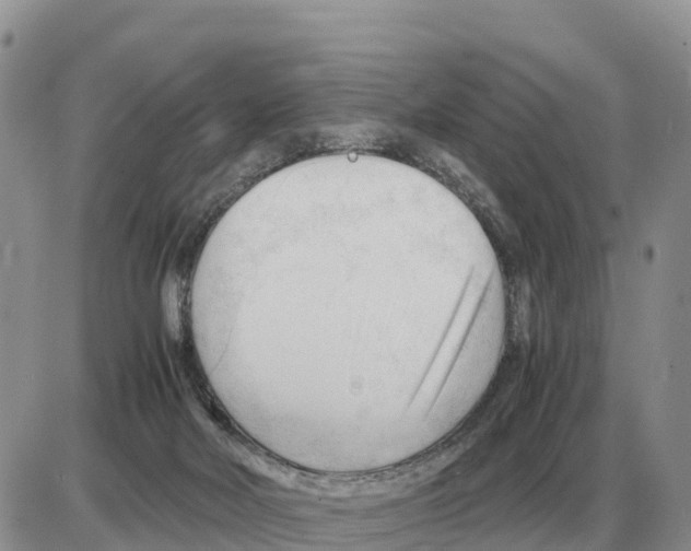 X0000086060026200704202112