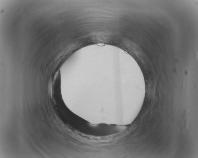 X0000086060027200704202112