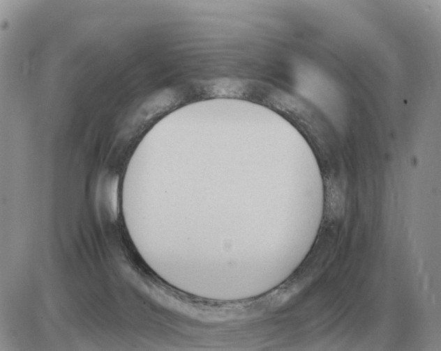 X0000086060028200704202112