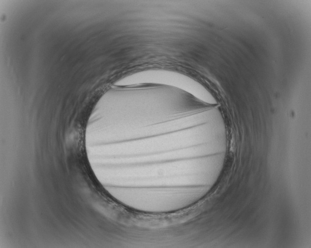 X0000086060029200704202112