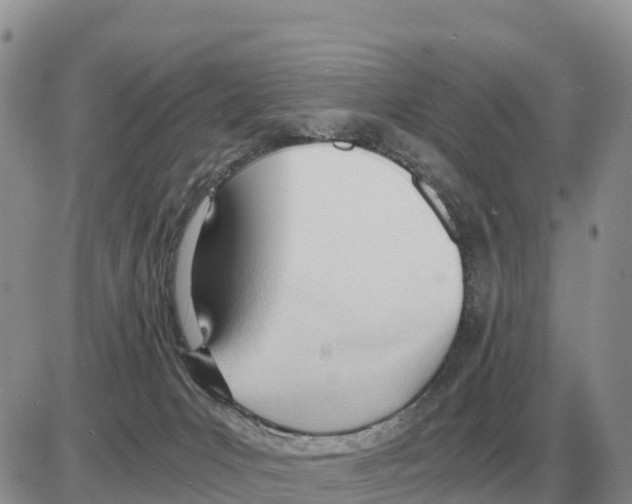 X0000086060031200704202112