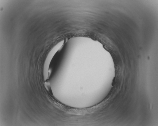 X0000086060033200704202112