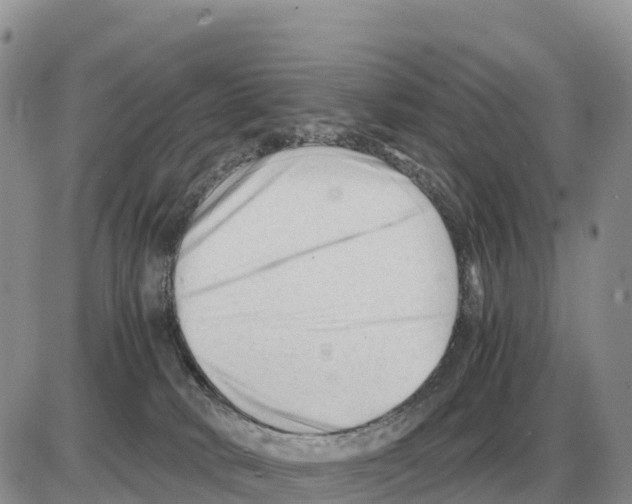 X0000086060034200704202112