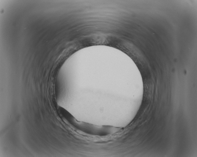 X0000086060035200704202112