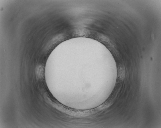 X0000086060036200704202112