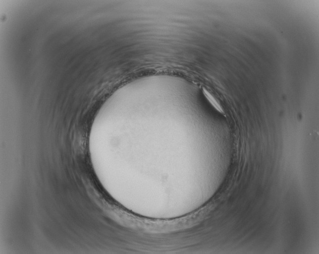 X0000086060039200704202112