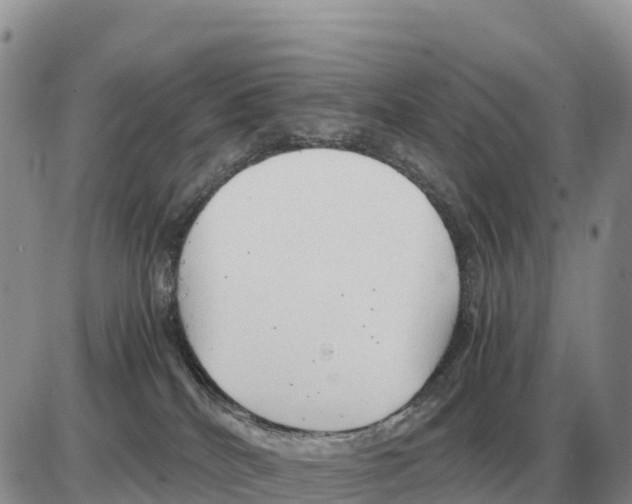 X0000086060040200704202112