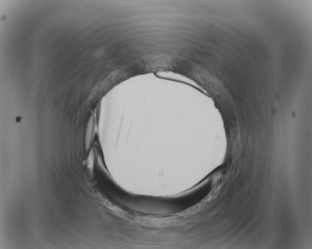 X0000086060041200704202112