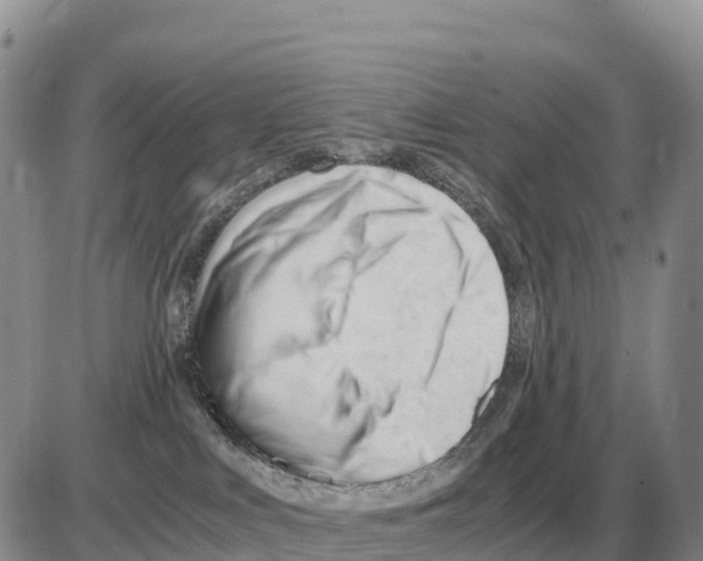 X0000086060043200704202112