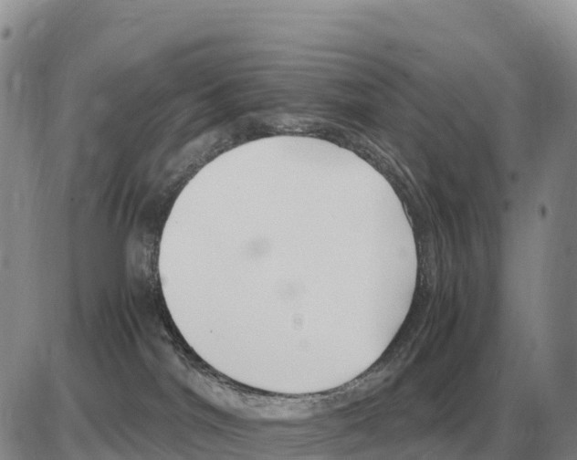 X0000086060044200704202112