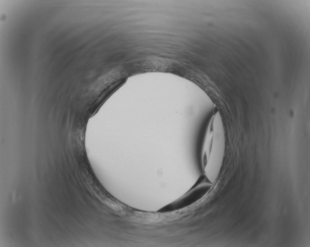 X0000086060045200704202112