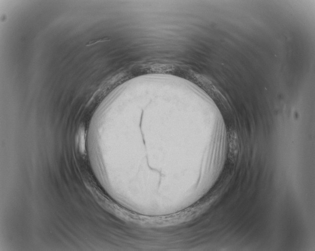 X0000086060046200704202112