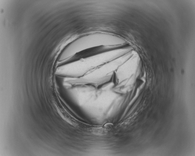 X0000086060050200704202111