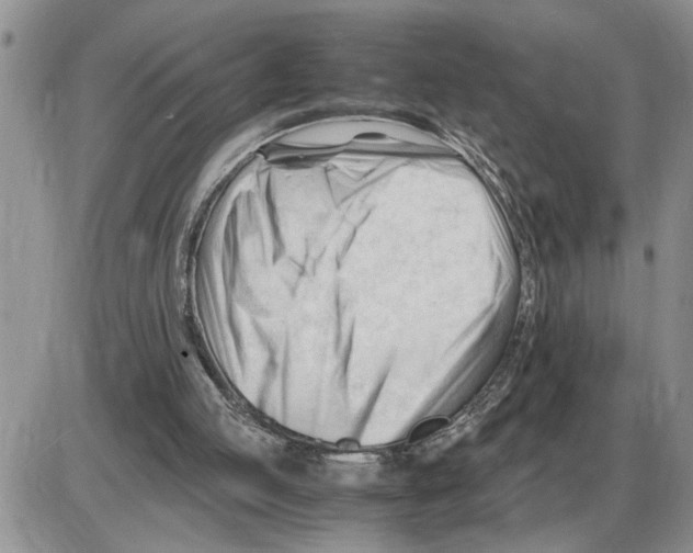 X0000086060053200704202111