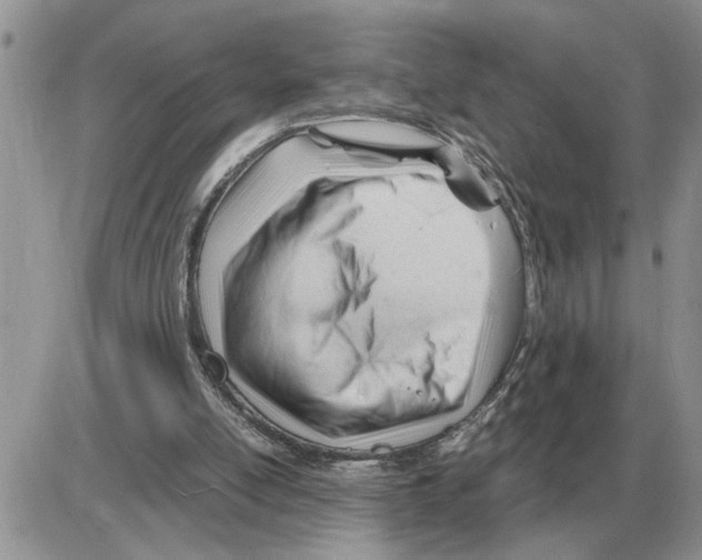 X0000086060054200704202111