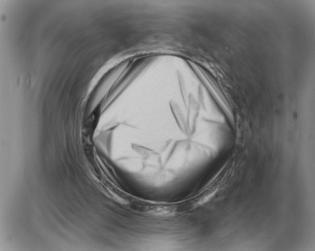 X0000086060056200704202111