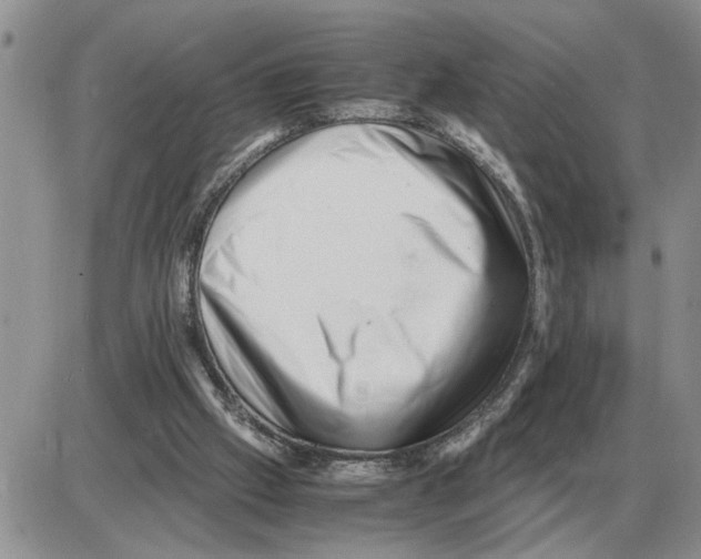 X0000086060057200704202111