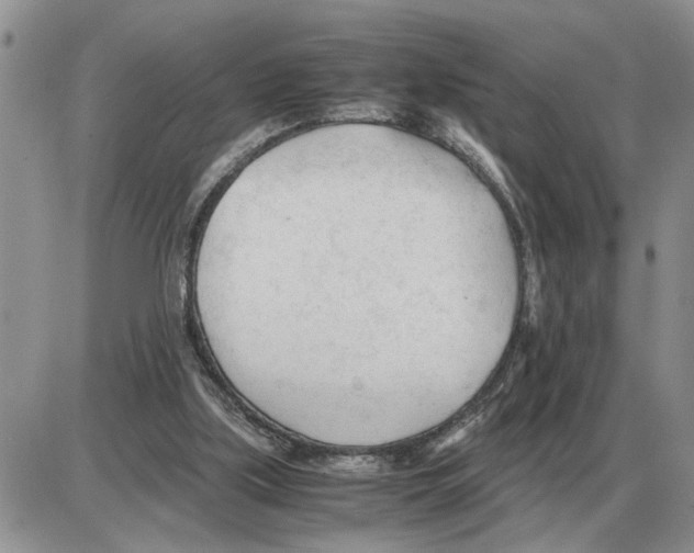 X0000086060059200704202111