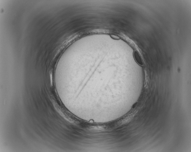 X0000086060061200704202111