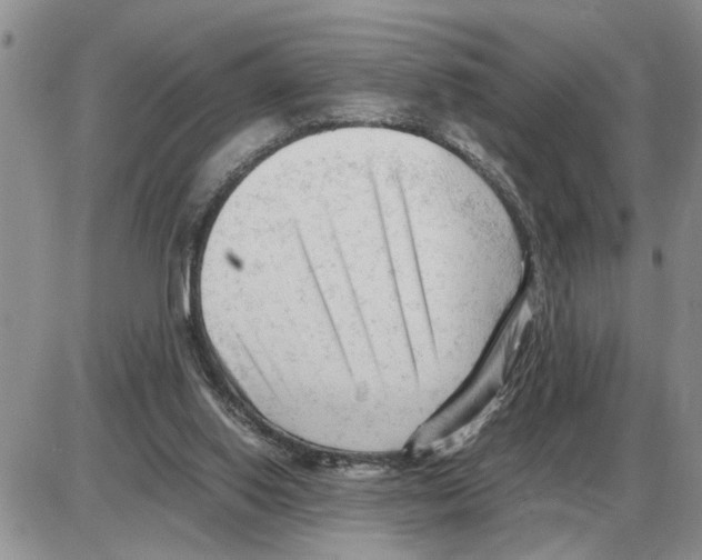 X0000086060062200704202111