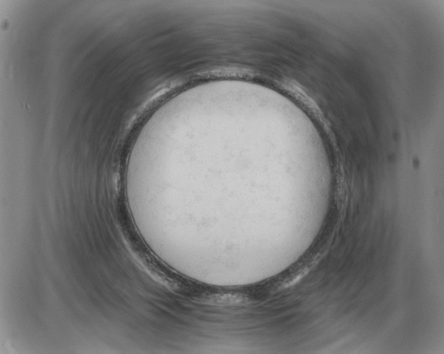 X0000086060063200704202111