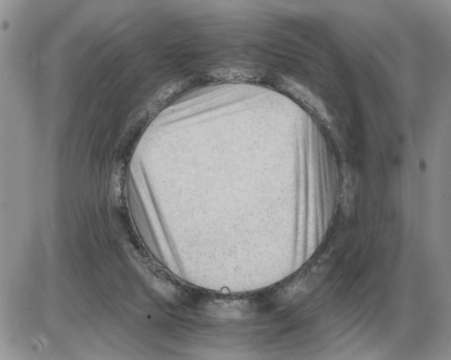 X0000086060065200704202111