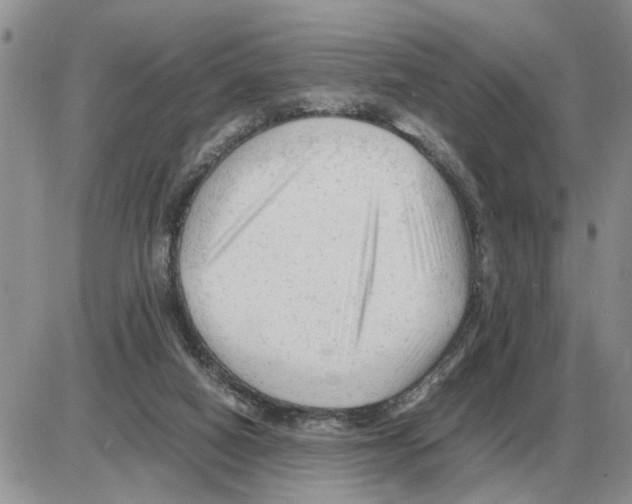 X0000086060066200704202111