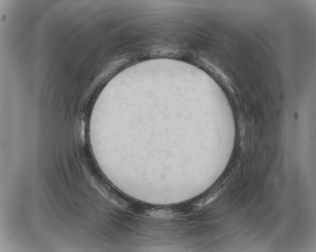 X0000086060067200704202111