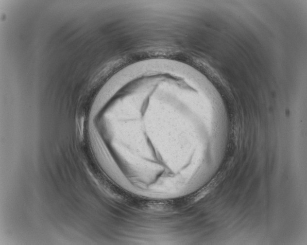 X0000086060070200704202111