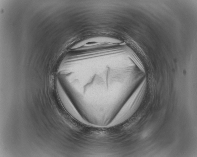 X0000086060071200704202111