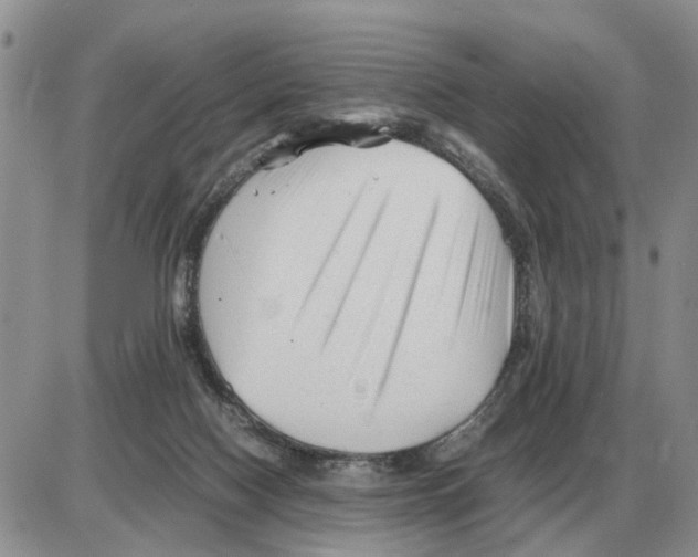 X0000086060074200704202111