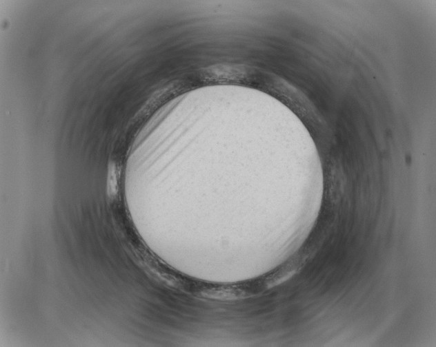 X0000086060075200704202111