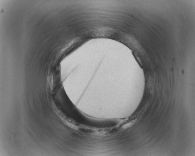 X0000086060076200704202111