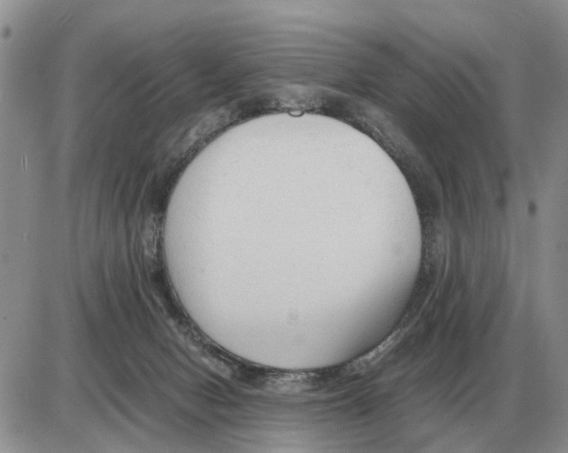 X0000086060078200704202111