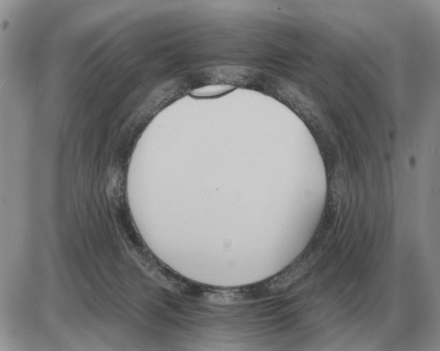 X0000086060079200704202111